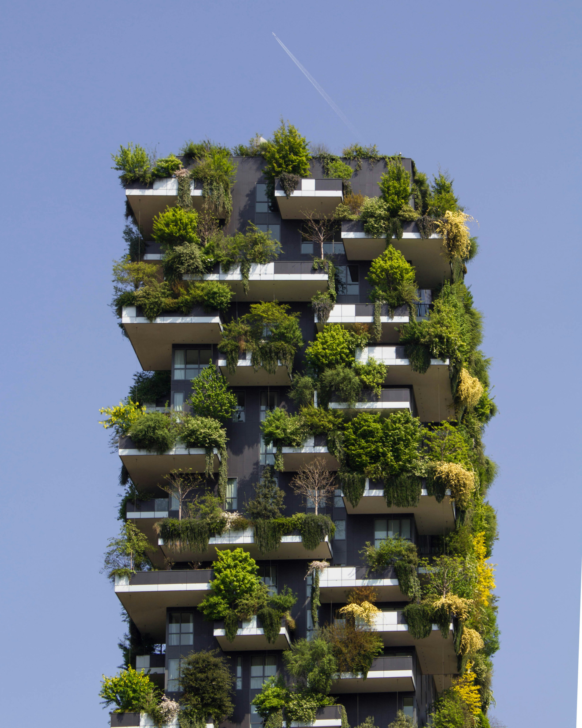 Flat met planten.1920x0