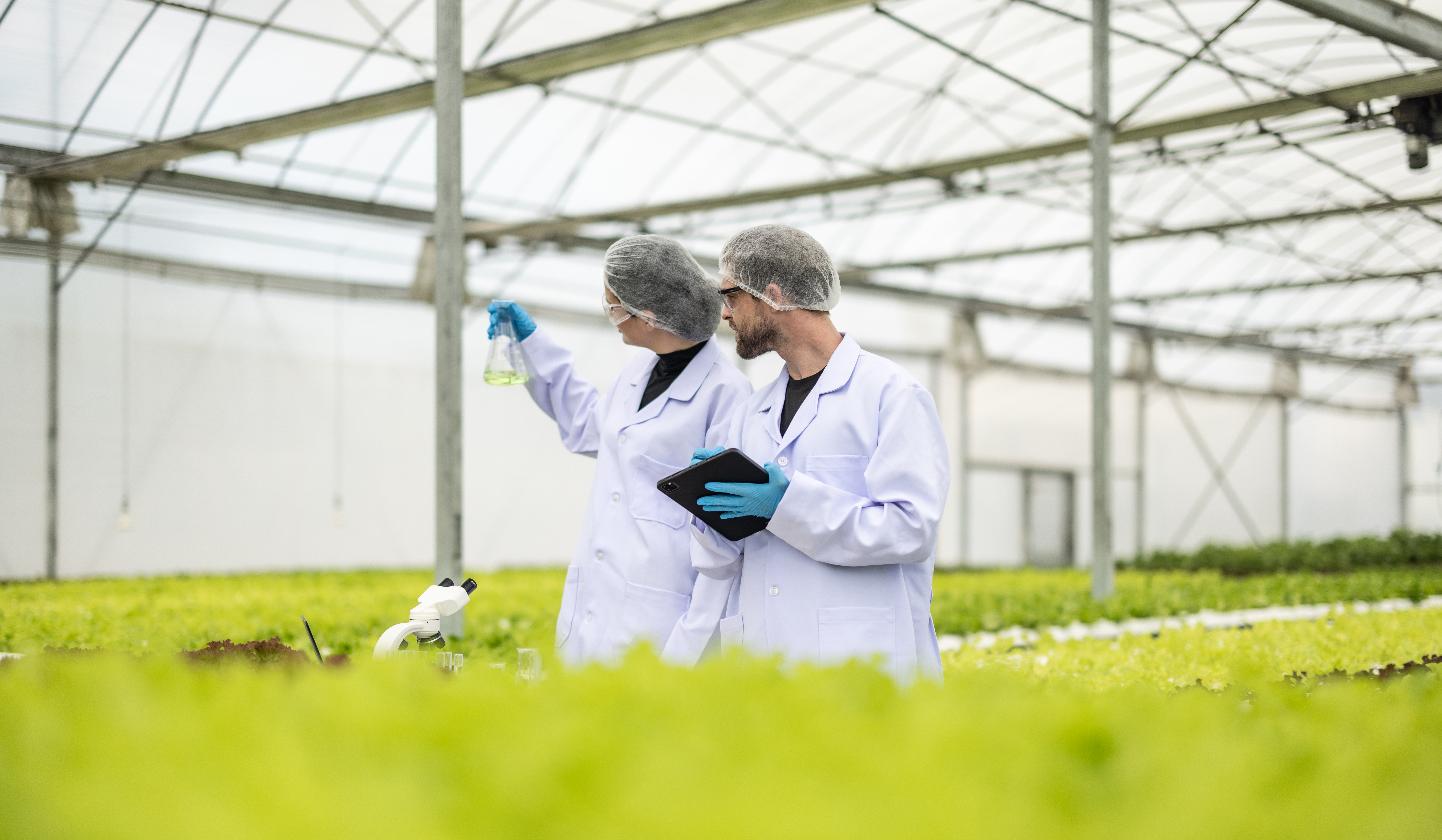 Hydroponic scientists assess solutions in flask p 2023 09 06 01 16 27 utc
